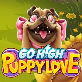 Go High Puppy Love online slot from RubyPlay – play at winmakercasino.ca
